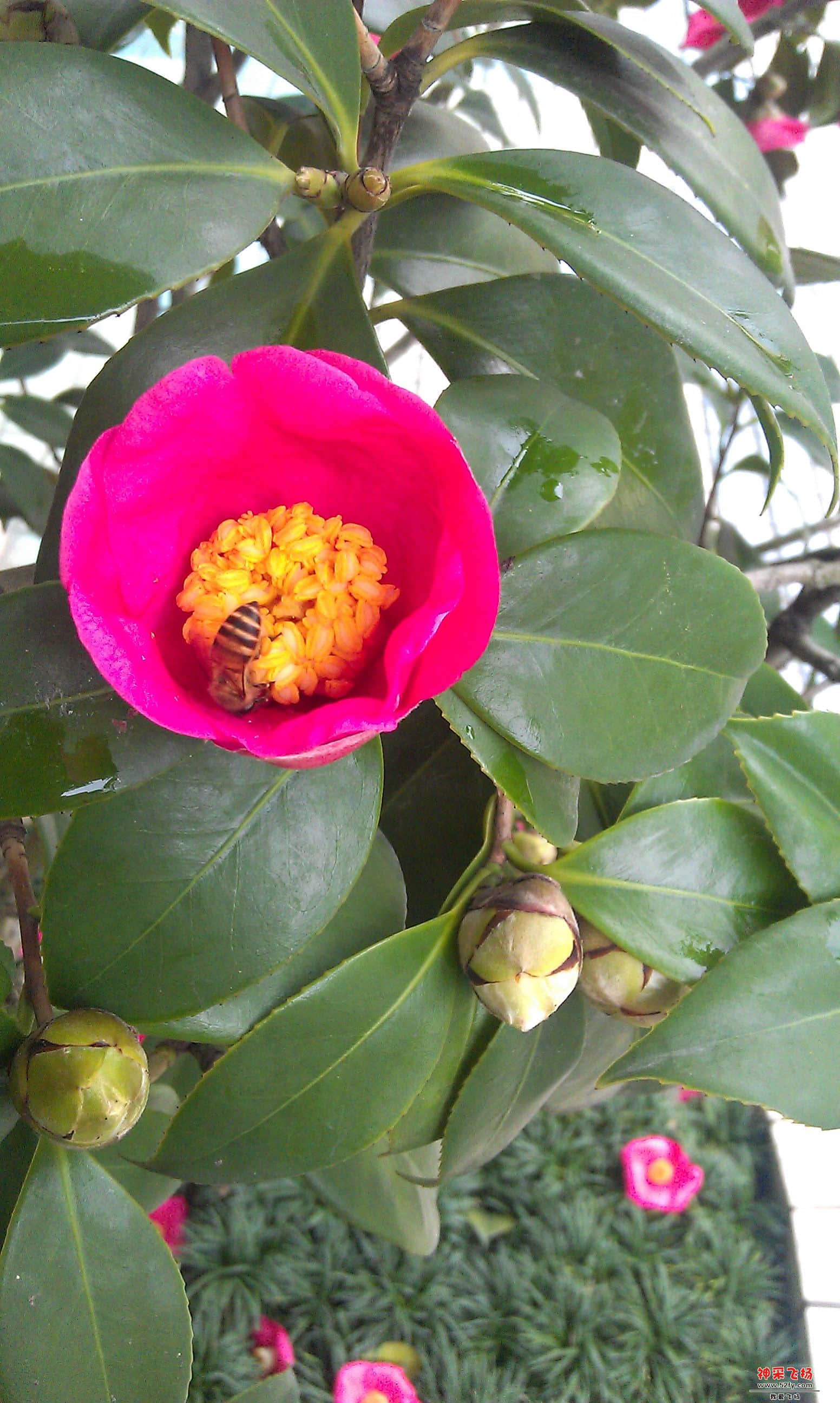 IMAG0002.jpg
