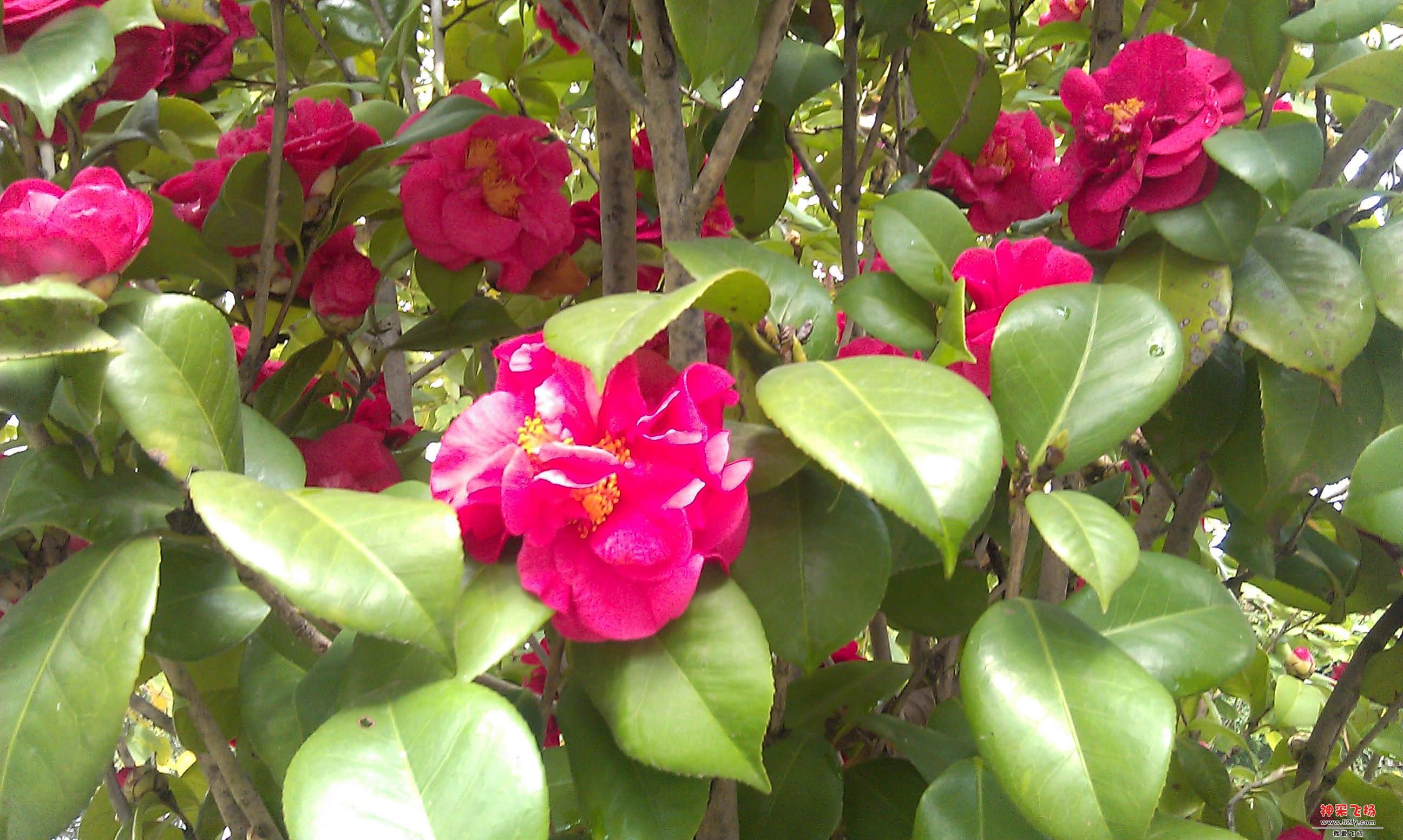 IMAG0006.jpg
