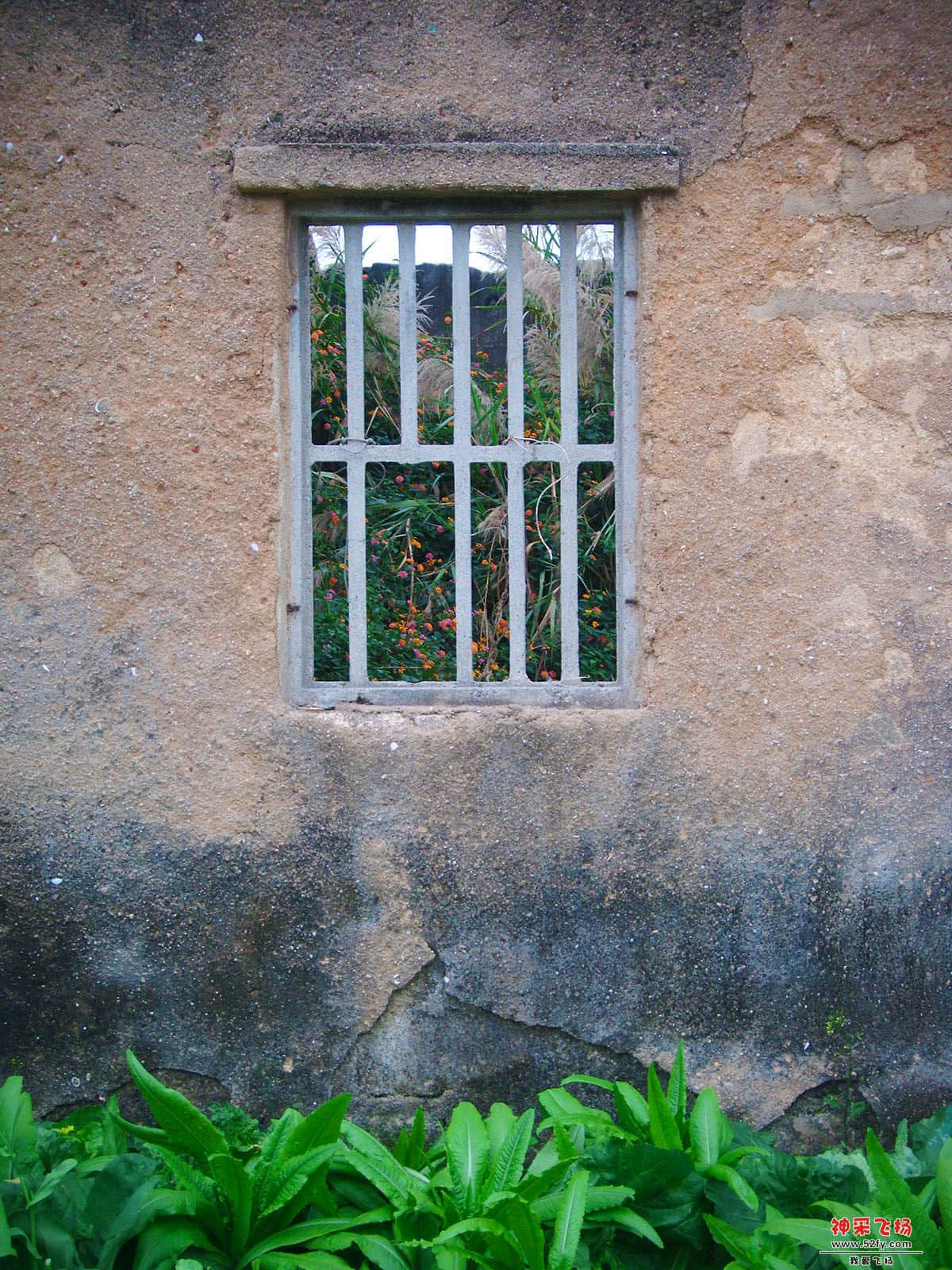 DSCF0664.jpg