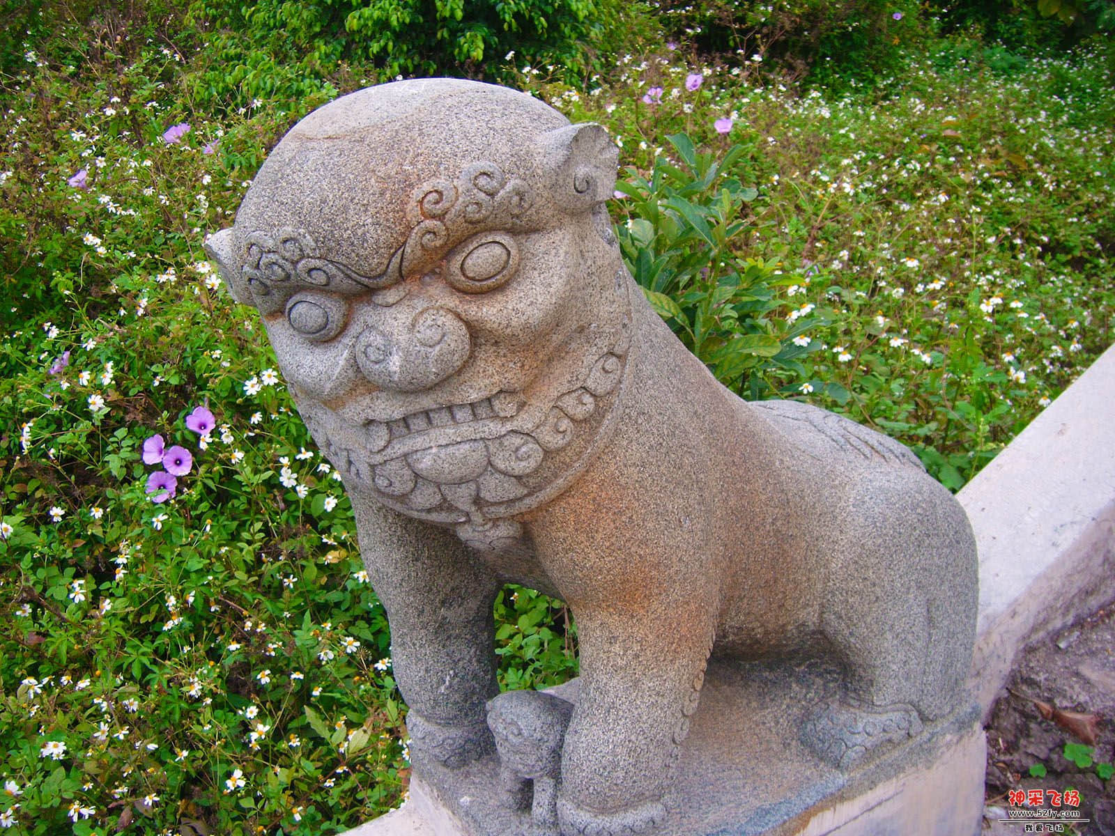 DSCF0686.jpg