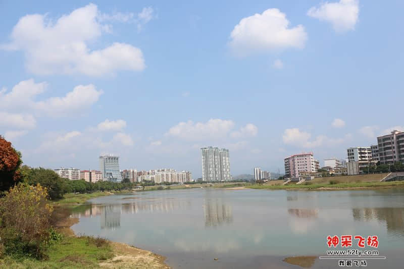 d60000 F10.01.jpg
