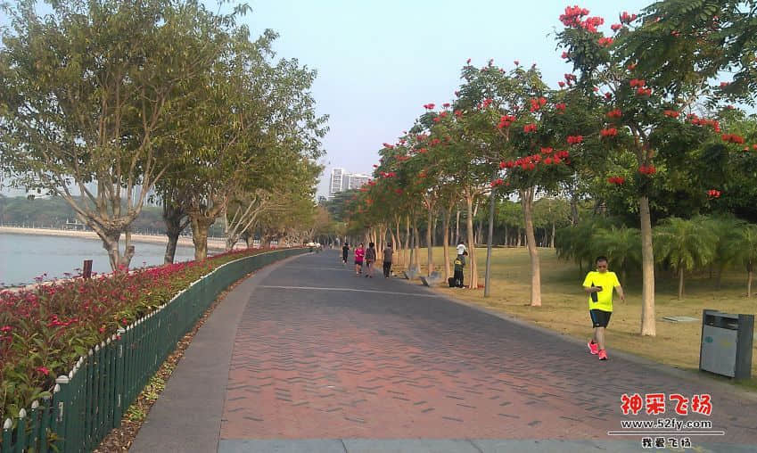 IMAG0012.jpg
