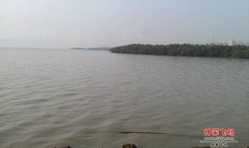 IMAG0019.jpg