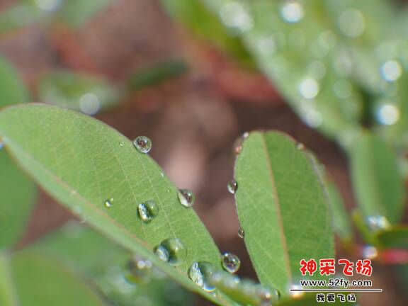 113035jzzkk8z5aouev64g.JPG