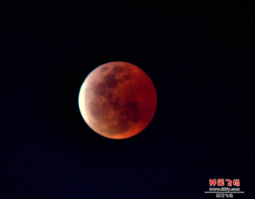 DSC_8294.jpg
