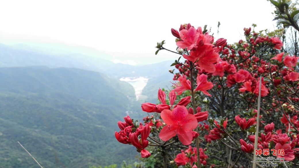 004246p2s1ivqvu59v16n2.jpg