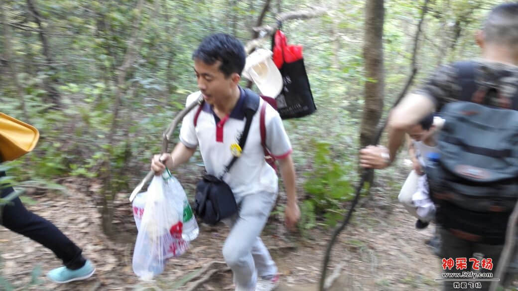 233037vgkah3s67acfvs64.jpg