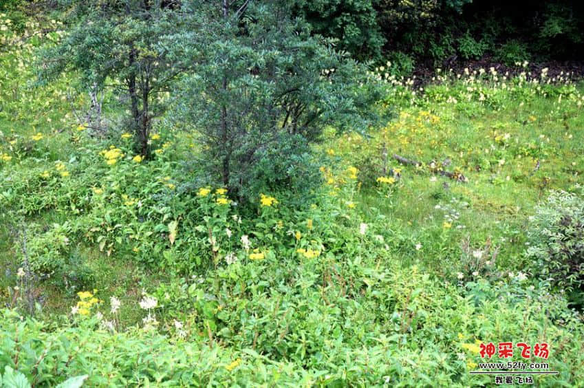 DSC02647_副本.jpg