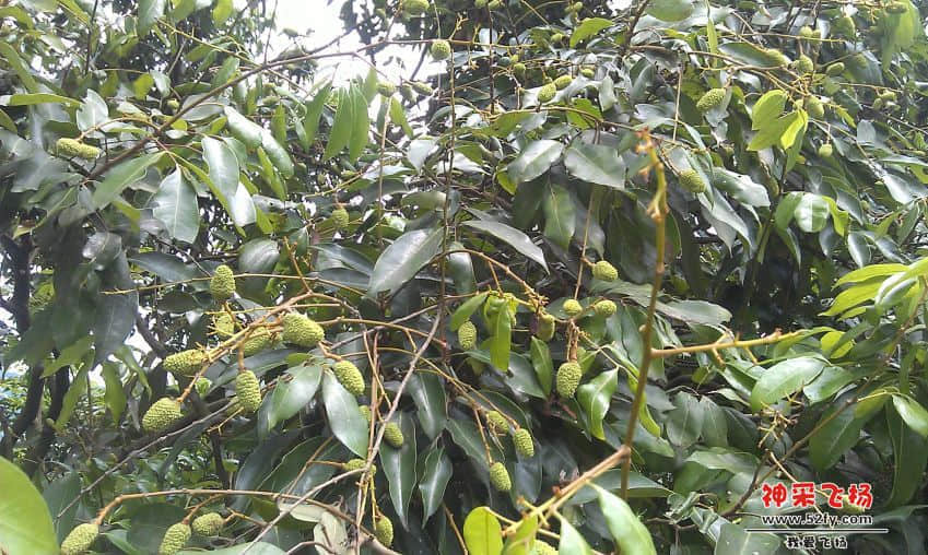 IMAG0030.jpg