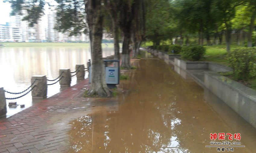 IMAG0005.jpg