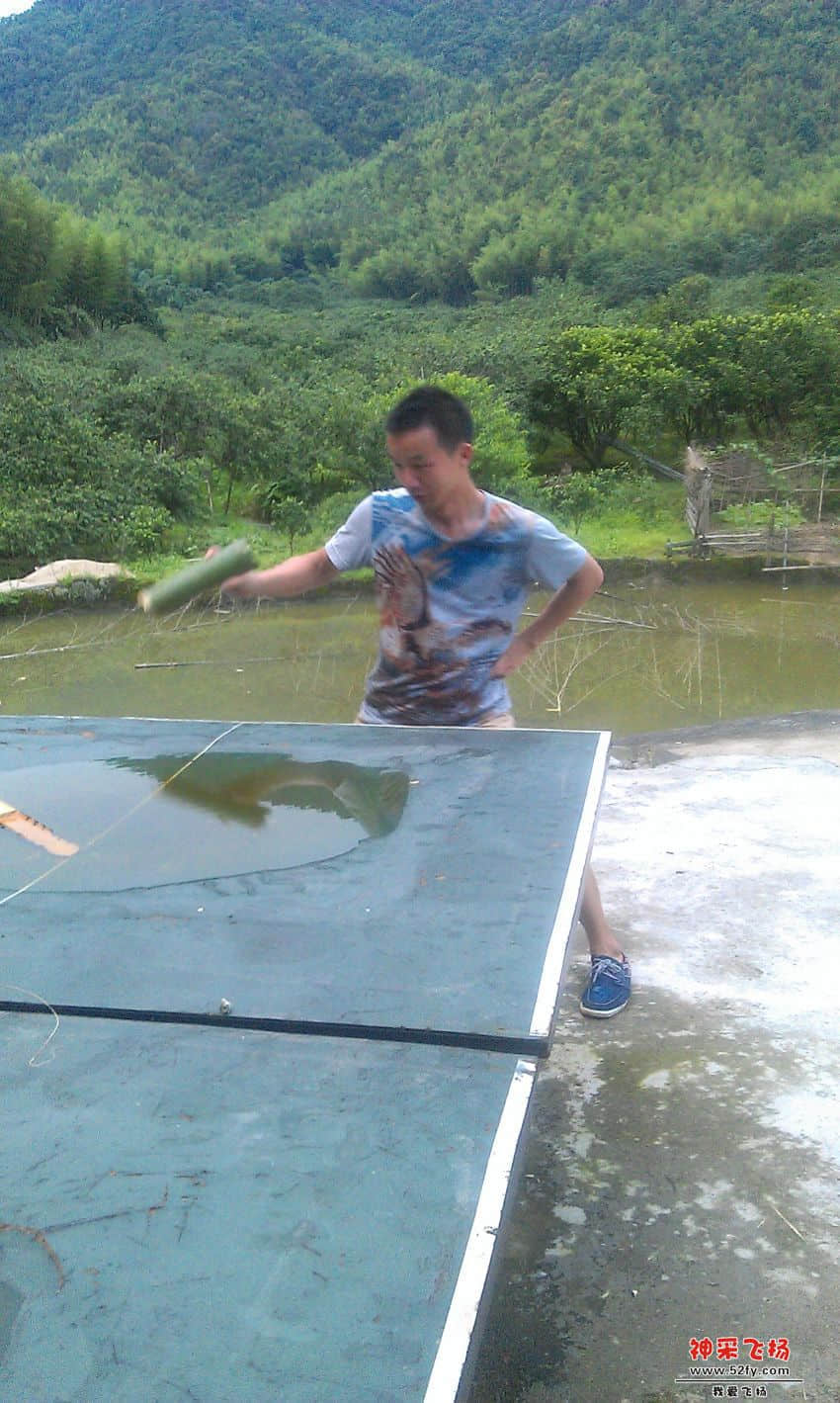 我乒乓球.jpg