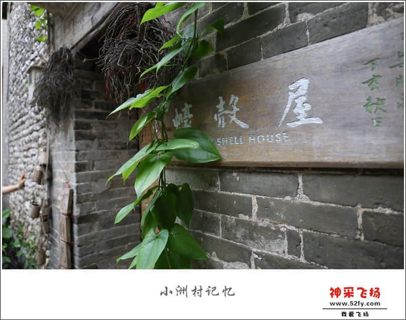 IMG_6411_副本.jpg