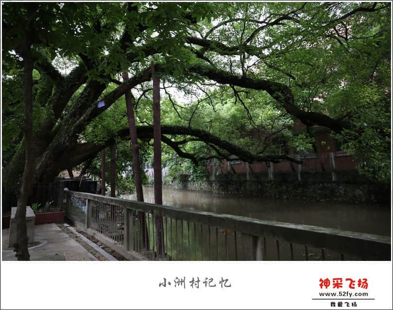 IMG_6450_副本.jpg