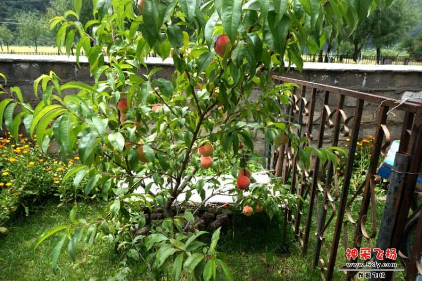 DSC02785_副本.jpg