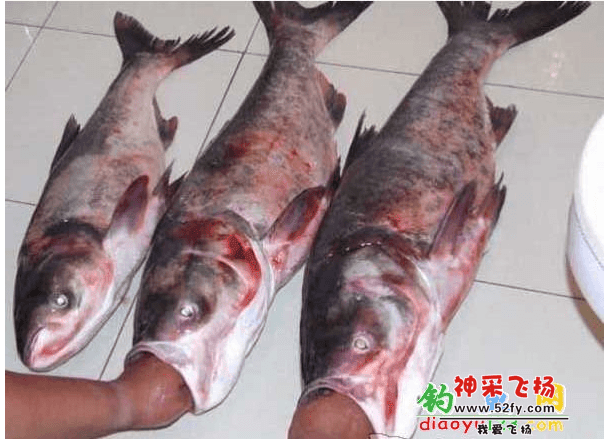 QQ截图20150611201305.png
