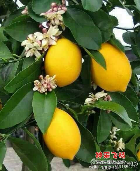 005711o55nahe6o3siehoa.jpg