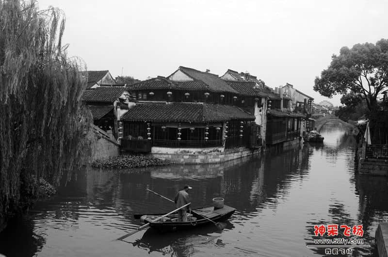 DSC_4542_副本.jpg