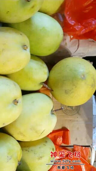160948wgcok2722ibndco7.jpeg