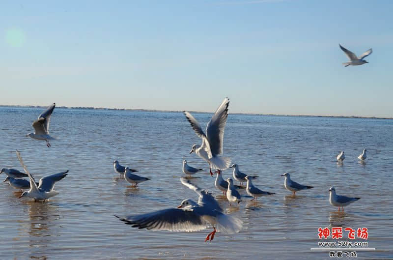 DSC_4689.jpg