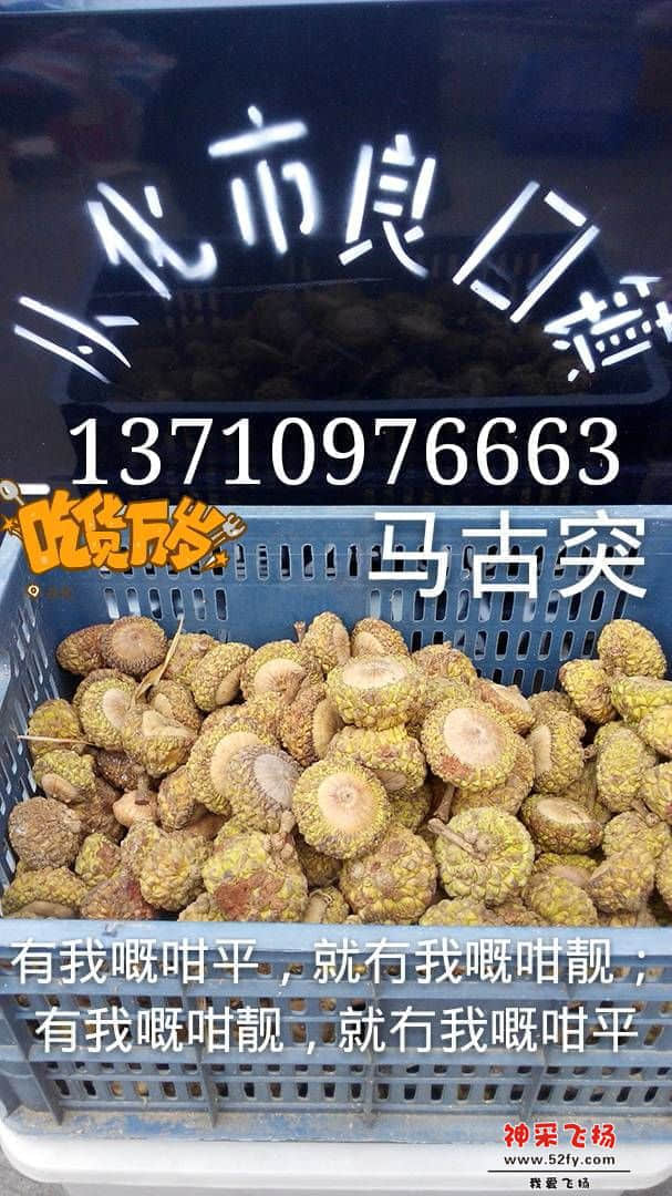 134250ya9g9ogw19zz6pra.jpg
