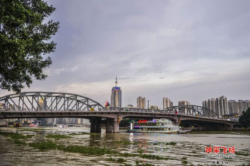 P1040428.jpg