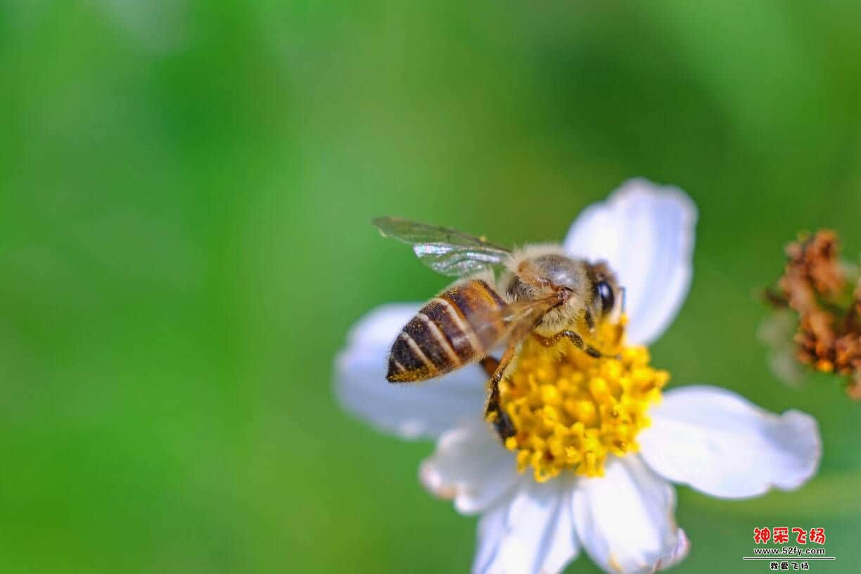 083726i4e6u9p5nke1n955.JPG