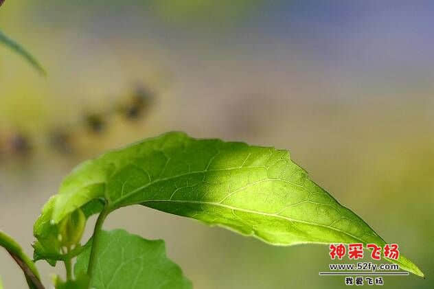 091541zd5jayqq8z3qrl4d.jpg