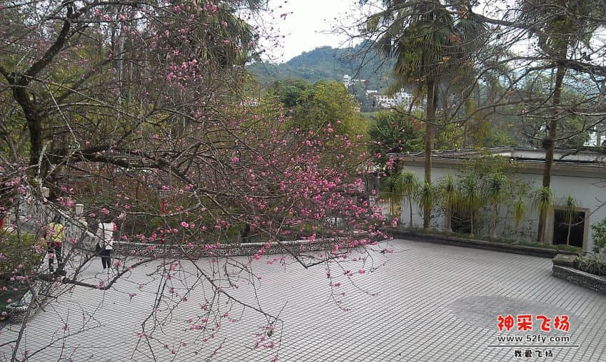 IMAG0019.jpg