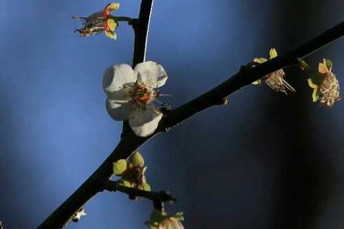 1453034135017.jpeg