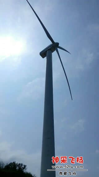 162227n55dl25aw6d8328j.jpeg