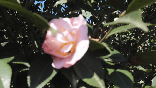 IMG_20160228_105900.jpg
