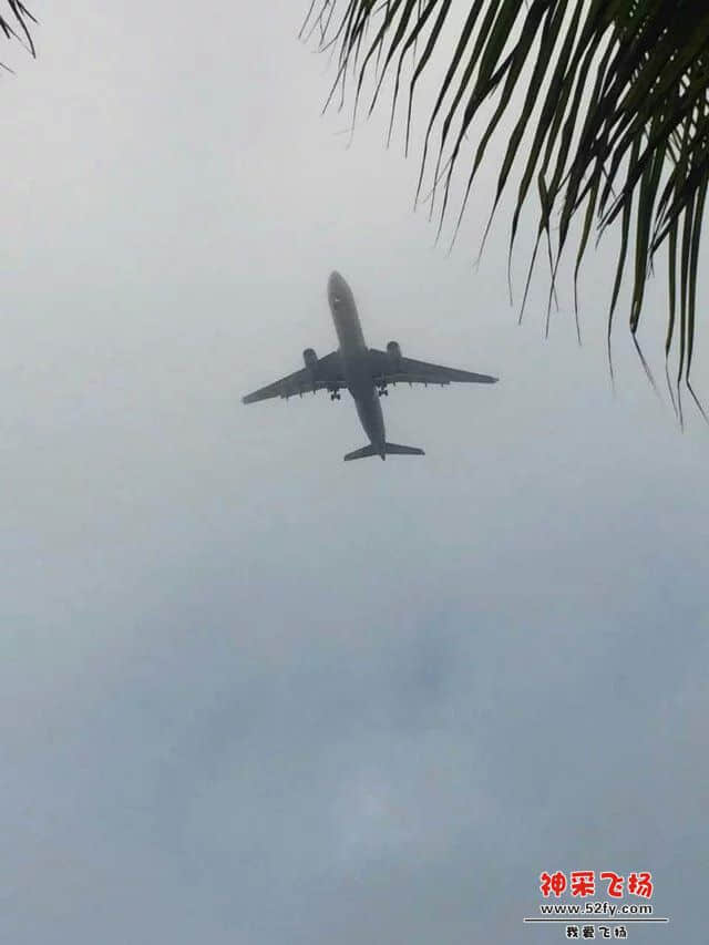 89.jpg