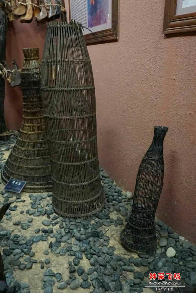 139.jpg