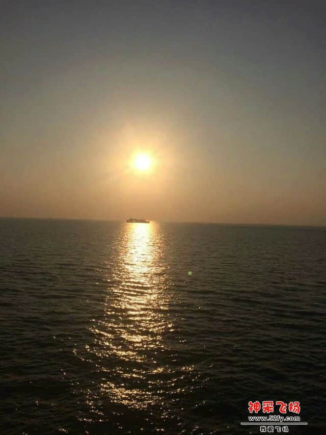 169.jpg