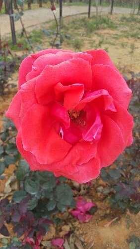 20160307_115828.jpg