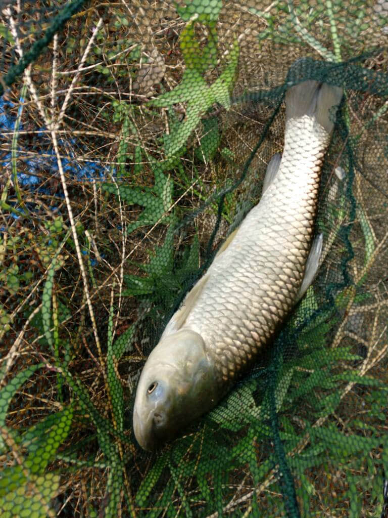 095843syeam2e8yezmfxk2.jpg