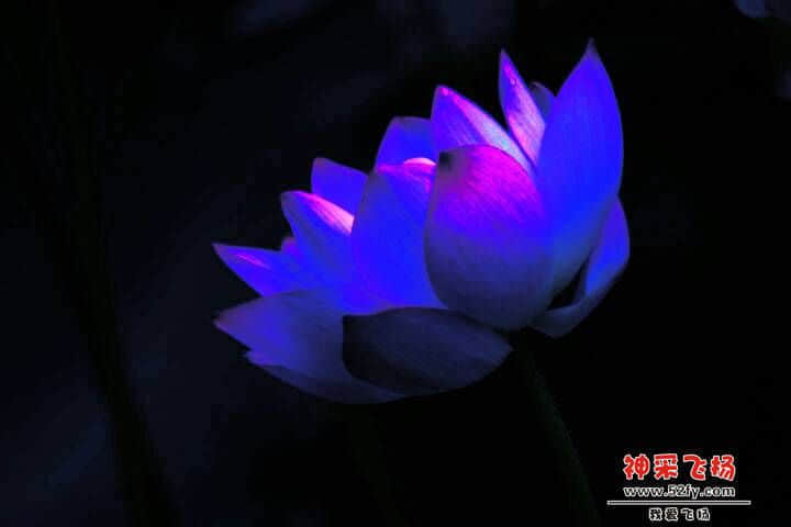 000727tfwit9f05fqdgqq0.jpg