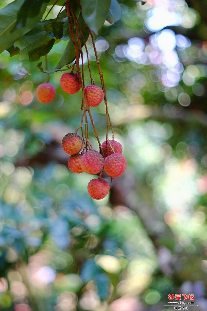 211425jqwzld3kffkldb87.JPG