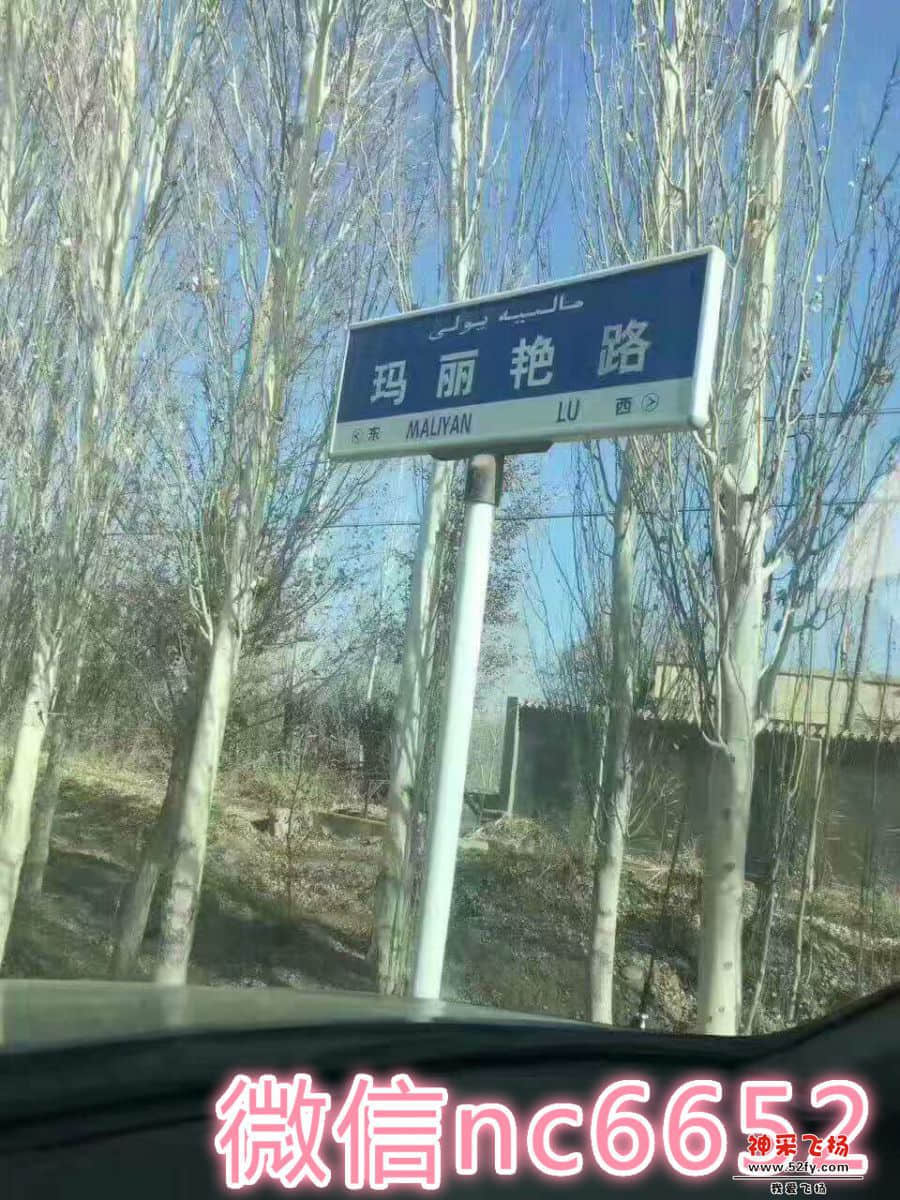 01.jpg
