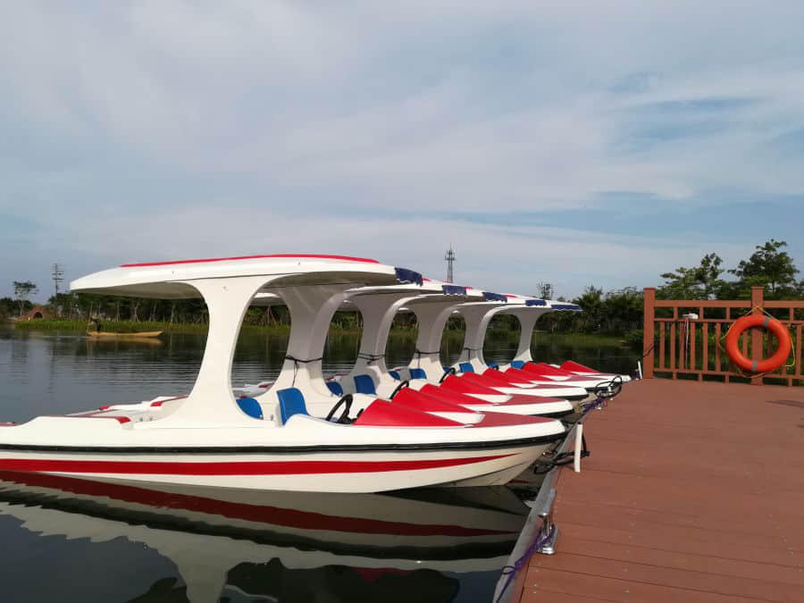 IMG_20170530_170230.jpg