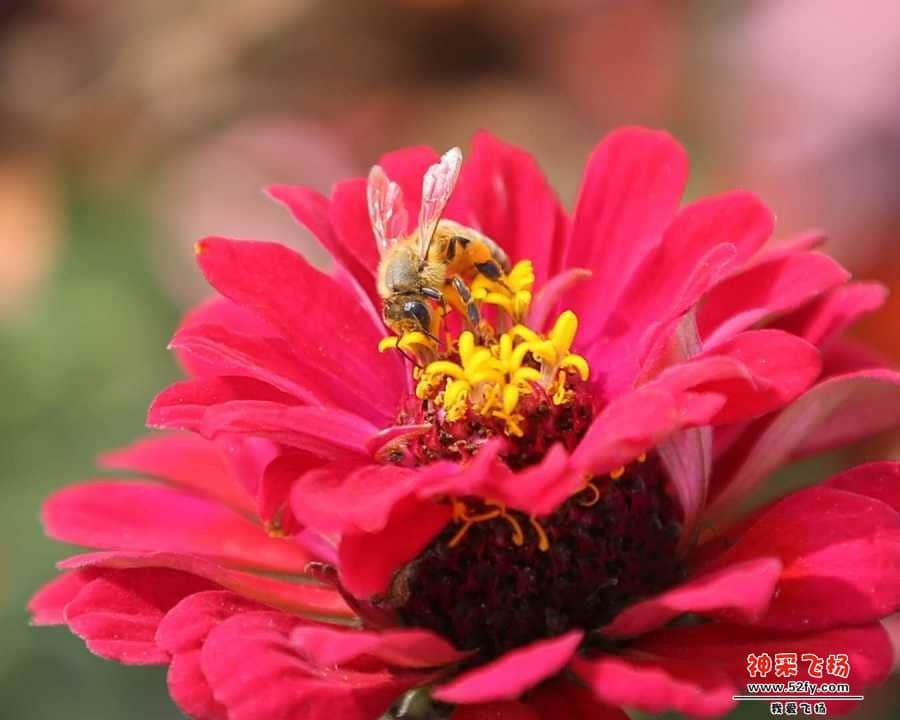 wechat_upload15507376695c6e6105a3fcd