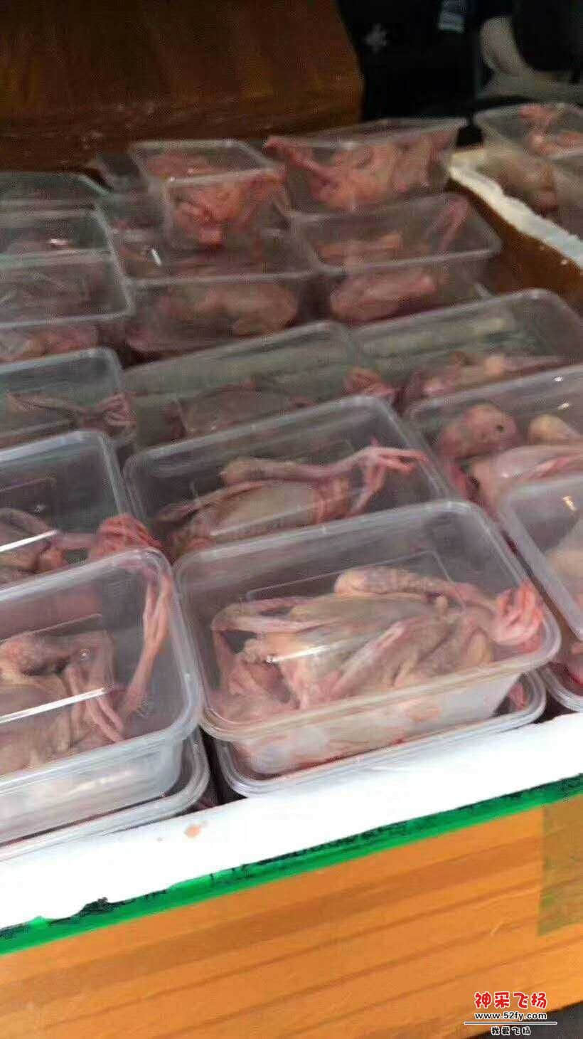 wechat_upload15847175705e74df0253ff1