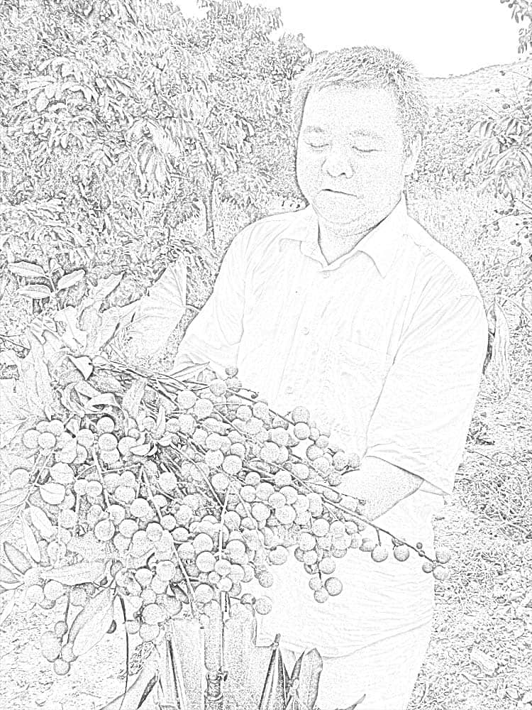 tm 拷贝.jpg