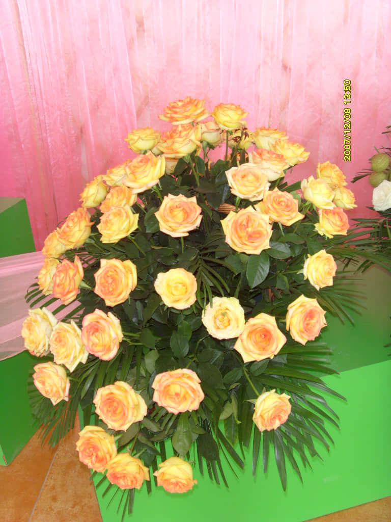 照片 066.jpg