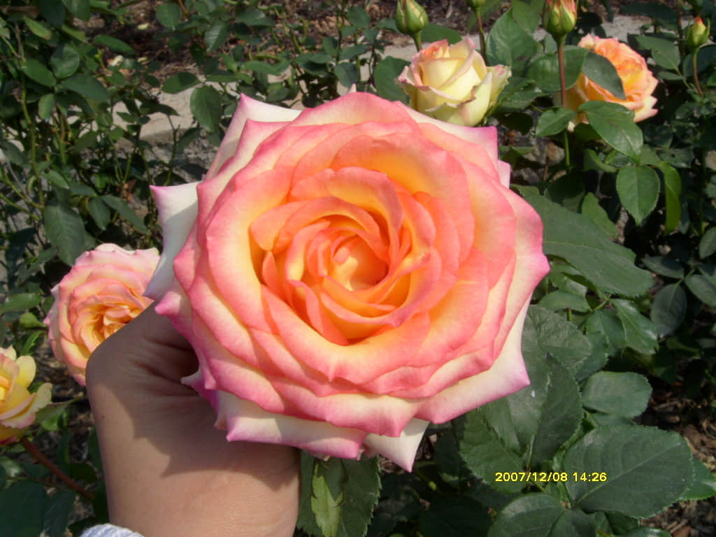 照片 119.jpg
