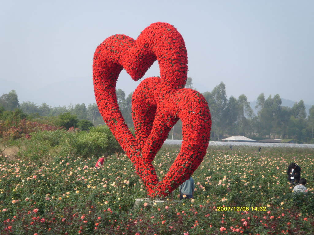 照片 128.jpg