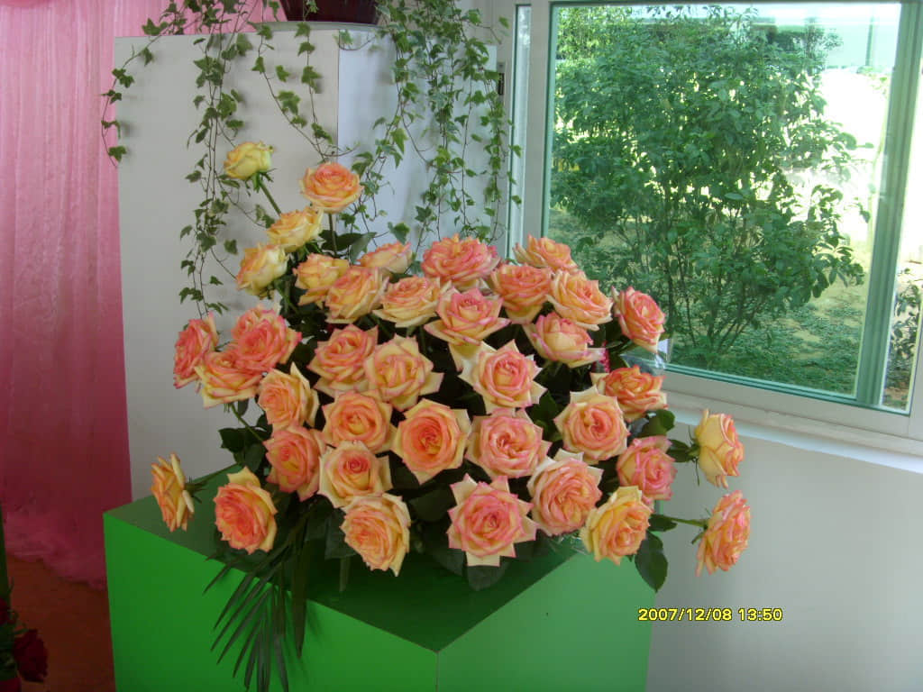 照片 069.jpg