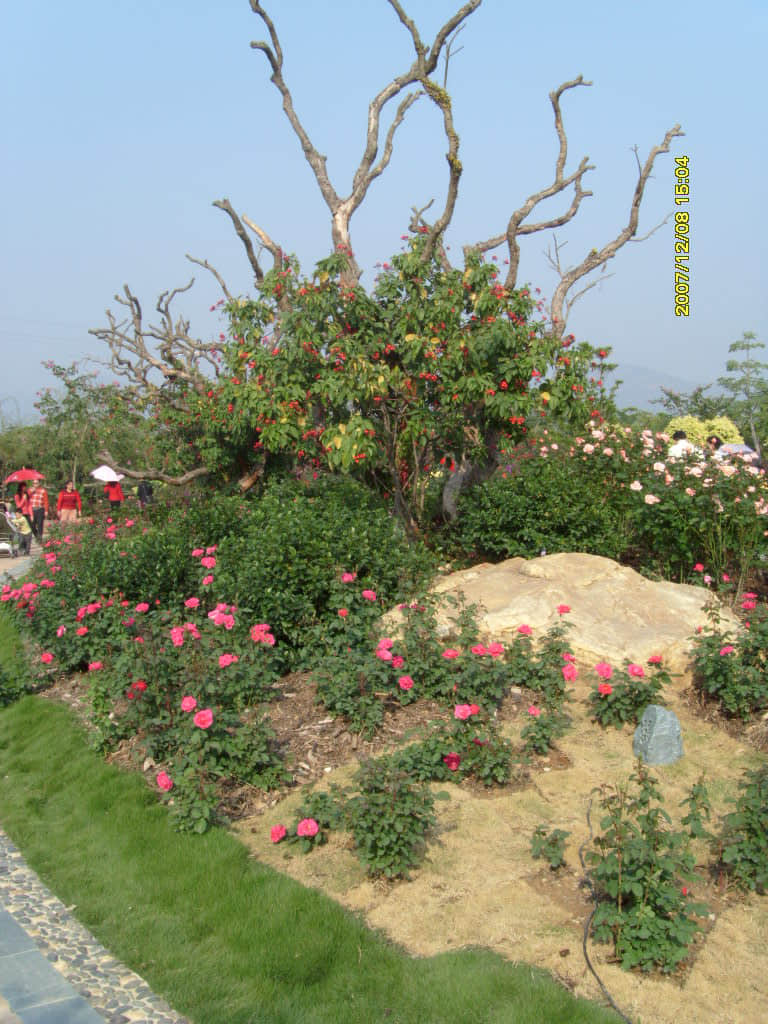 照片 162.jpg