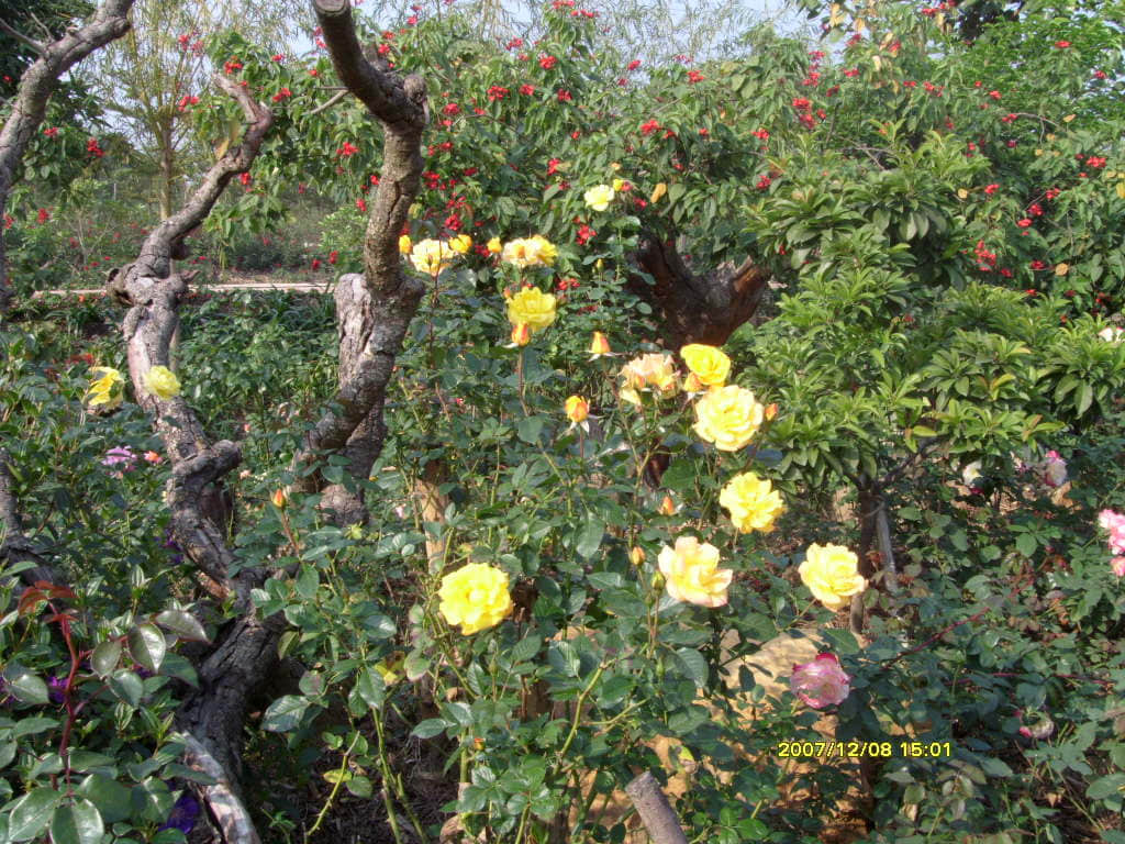 照片 158.jpg