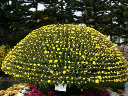 P1060098.webp